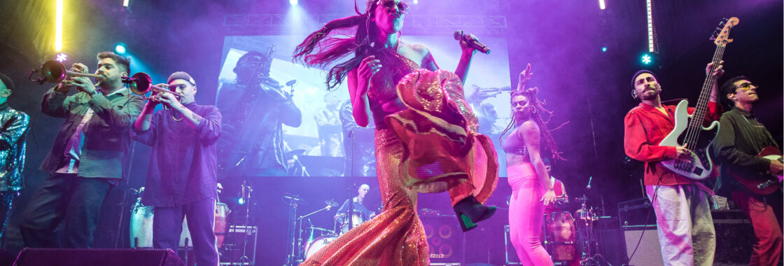 The band Newen Afrobeat on a pink and purple background